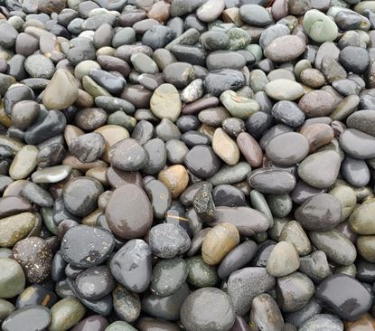Picture of Mexican Beach Pebbles