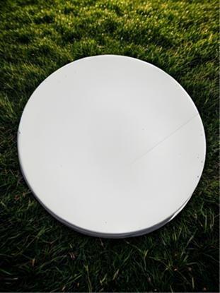 Picture of Round Stepping Stone