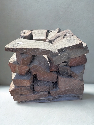 Picture of Mossy Builders