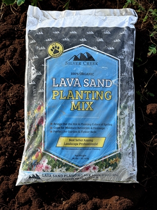Picture of Lava Sand Planting Mix