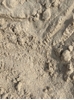 Picture of Masonry Sand